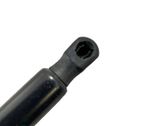 Tailgate/trunk strut/damper