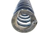 Rear coil spring