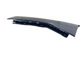 Rear door glass trim molding