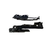 Tailgate/trunk/boot hinge