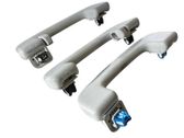 A set of handles for the ceiling