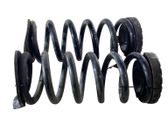 Rear coil spring