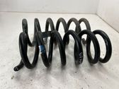 Rear coil spring