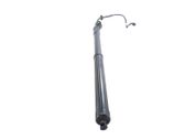 Tailgate/trunk strut/damper