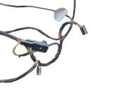 Rear door wiring loom