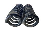 Rear coil spring