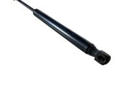 Front bonnet/hood damper/strut