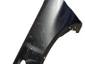 Fender