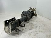 Rear shock absorber with coil spring