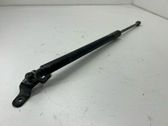 Tailgate/trunk strut/damper