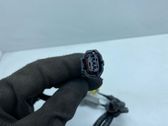 Seat wiring loom