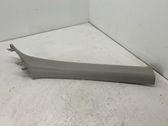 (A) pillar trim