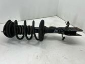 Front shock absorber with coil spring