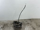 Rear wheel hub