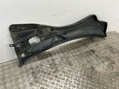 Wiper trim