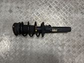 Front shock absorber with coil spring
