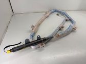 Roof airbag