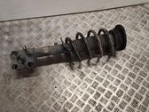 Front shock absorber with coil spring