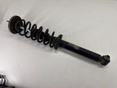 Rear shock absorber with coil spring