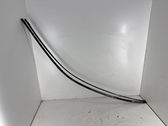 Roof trim bar molding cover