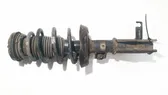 Front shock absorber/damper