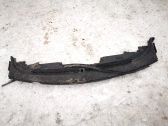 Moldura del limpia