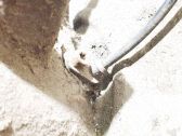 ABS Sensor hinten
