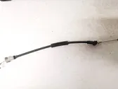 Línea de cable de puerta trasera