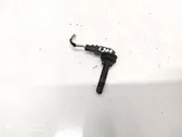 Ansaugluftsensor