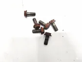 Nuts/bolts