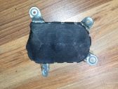 Airbag de la puerta delantera