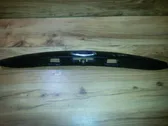 Trunk door license plate light bar