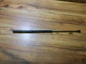Tailgate/trunk strut/damper