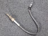 Abgastemperatursensor