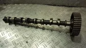Nockenwelle
