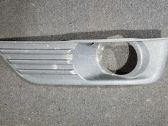 Grille inférieure de pare-chocs avant