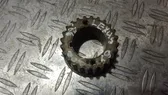 Crankshaft pulley