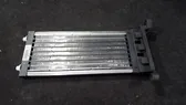 Radiador de calefacción eléctrico de habitáculo