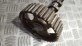 Camshaft pulley/ VANOS