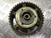 Fuel pump gear (pulley)