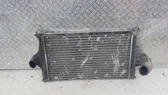 Intercooler radiator