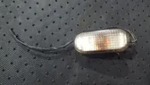 Front fender indicator light