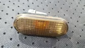 Front fender indicator light