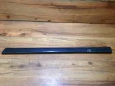 Rear door trim (molding)