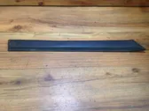 Rear door trim (molding)