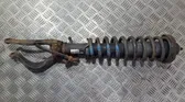 Front shock absorber/damper