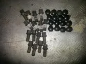 Nuts/bolts