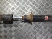 Rear shock absorber/damper