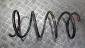 Front coil spring