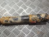 Stoßdämpfer hinten
